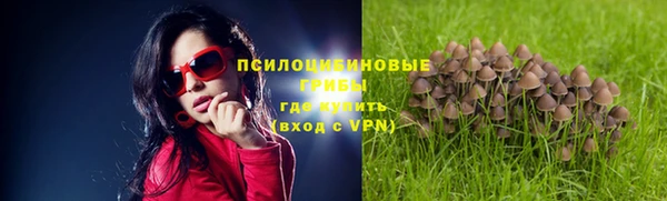 прущий лед Алексин