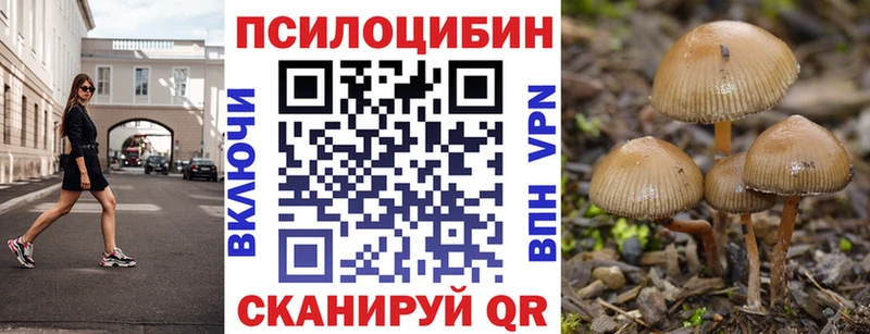 Галлюциногенные грибы Psilocybe  Переславль-Залесский 